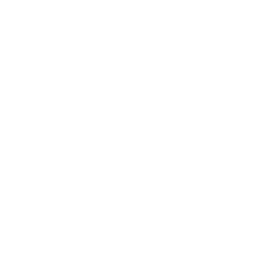 MDX